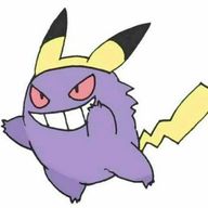 Honghua Chen (陈泓桦)